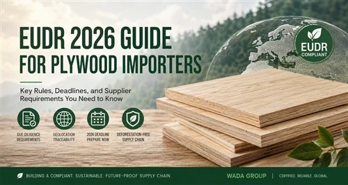 Lee EUDR ɖò Plywood e è nɔ hɛn wá UE mɛ lɛ é ɖyɔ wɛ gbɔn é: Alixlɛ́mɛ 2026 tɔn ɖé